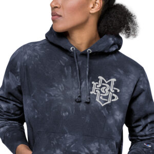 Stussy x sales champion hoodie