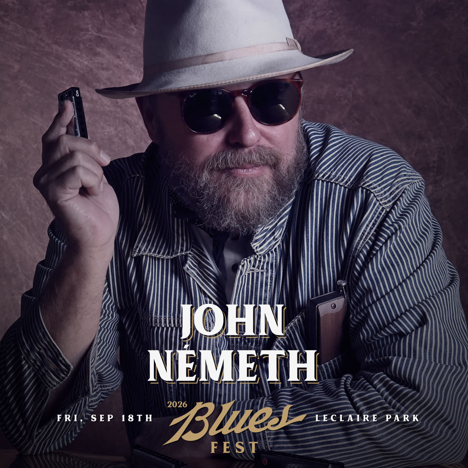 Blues Fest 2026 — FRI & SAT Two-Day Pass - Image 2